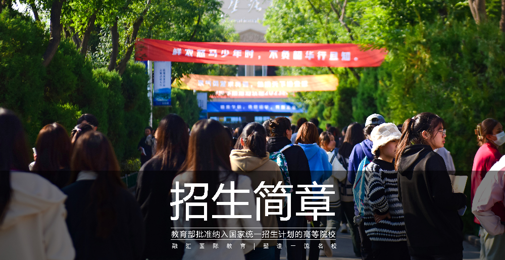 权威发布 | OD网页版2025年招生指南